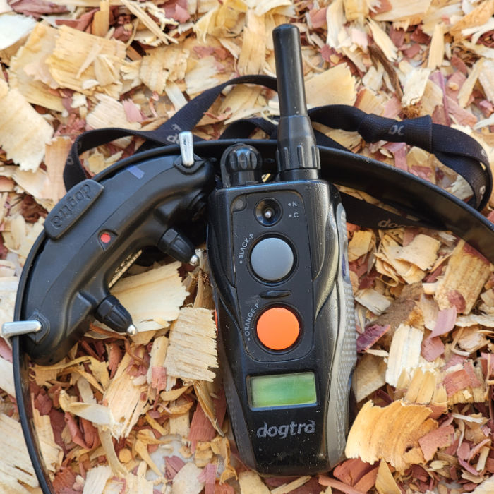 Dogtra electric collar on cedar chips